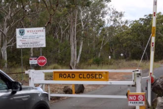 scene of a light plane crash in Southwest Sydney bushland